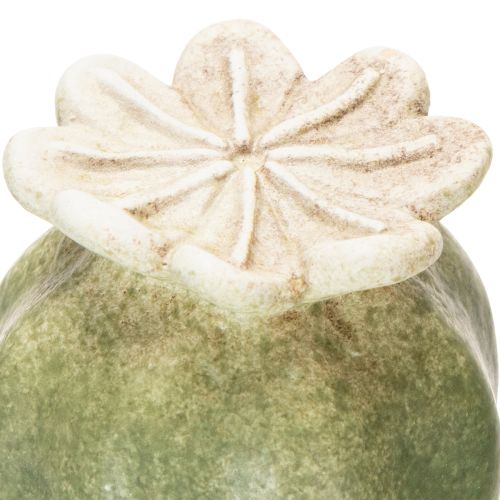 Artículo Estacas de semillas de amapola para decoración de jardín, 60 cm, 2 unidades