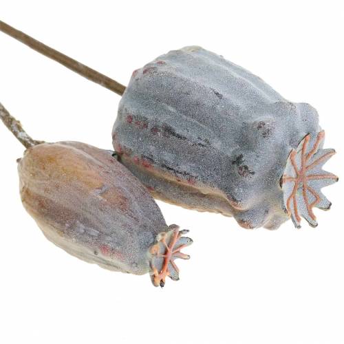 Floristik24 Cápsulas de amapola artificial amarillo, marrón 6pcs