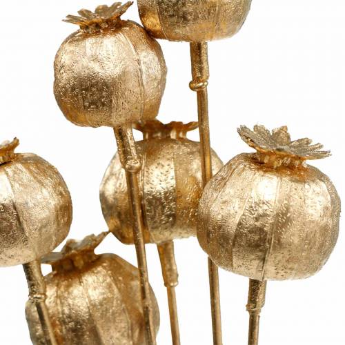 Floristik24 Cápsula de semillas de amapola en palo dorado 59cm 6pcs