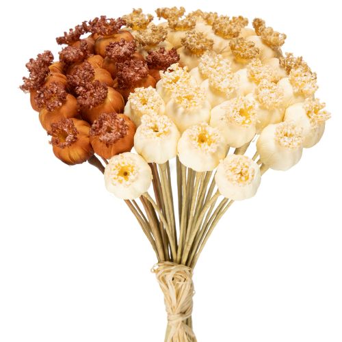 Cápsulas de semillas de amapola artificiales secas, manojo de tres colores, 40 cm, 45 unidades comprar | Floristik24.es