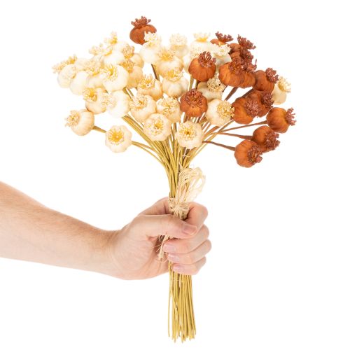 Cápsulas de semillas de amapola artificiales secas, manojo de tres colores, 40 cm, 45 unidades | Floristik24.es