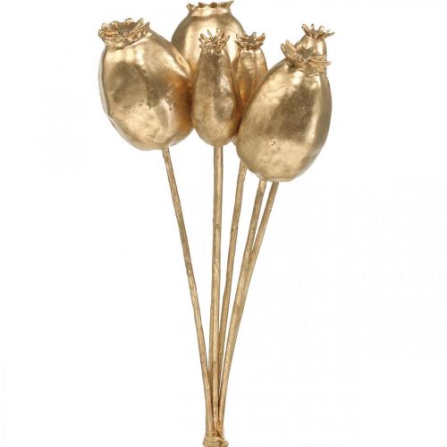 Floristik24 Cápsulas de amapola decoración amapola oro artificial decoración navideña 38cm 6uds