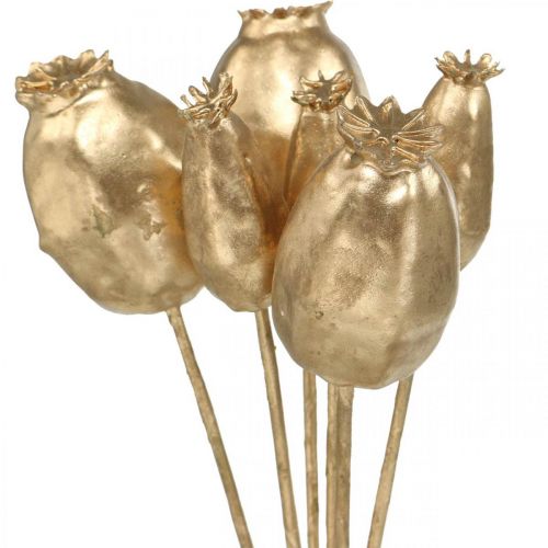 Artículo Cápsulas de amapola decoración amapola oro artificial decoración navideña 38cm 6uds