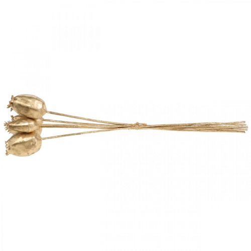Floristik24 Cápsulas de amapola decoración amapola oro artificial decoración navideña 38cm 6uds