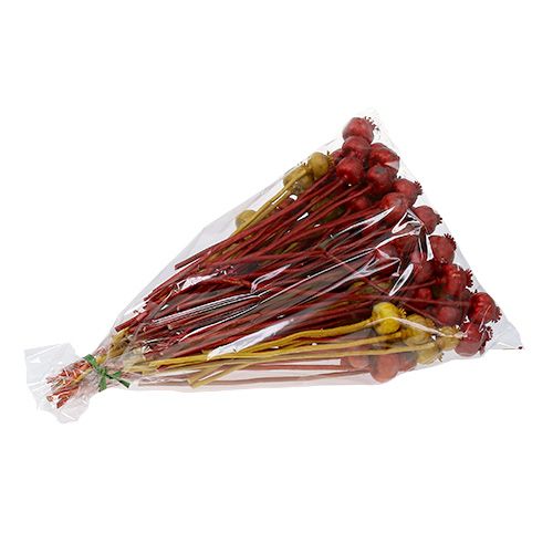Floristik24 Cabezas de amapola 3 colores ordenadas 100 piezas
