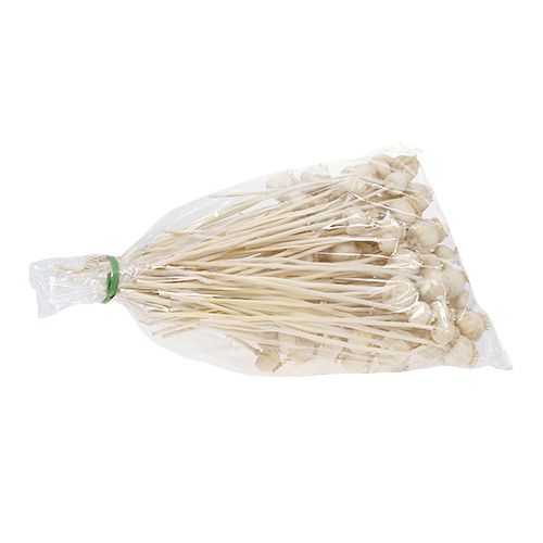 Floristik24 Cabezas de amapola blanqueadas 100 piezas