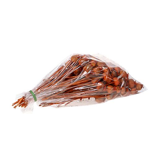 Floristik24 Cabezas de amapola color naranja 100 uds.