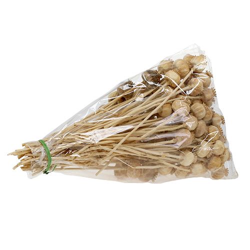 Floristik24 Cabezas de amapola naturaleza 100 piezas