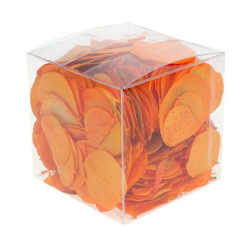 Floristik24 Hojas de Moneta Albaricoque 50g