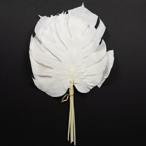 Hojas de Monstera blanqueadas, hoja decorativa para ventana, H40cm, 5 unidades