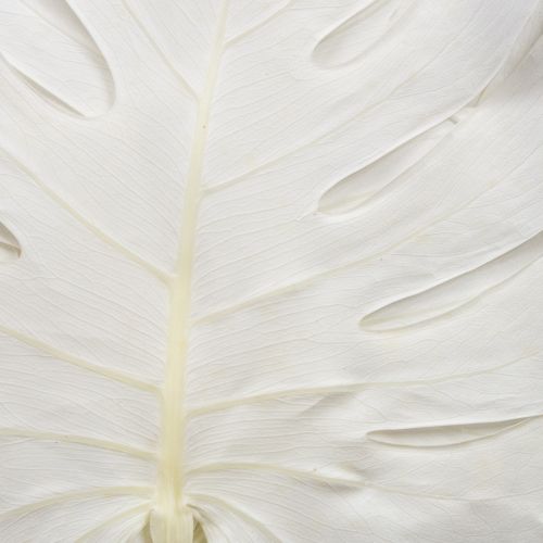 Artículo Hojas de Monstera blanqueadas, hoja decorativa para ventana, H40cm, 5 unidades