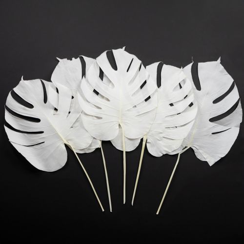 Artículo Hojas de Monstera blanqueadas, hoja decorativa para ventana, H40cm, 5 unidades