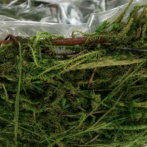 Floristik24 Moss-Bowl Verde Ø11cm H6,5cm - 7,5cm 5 piezas