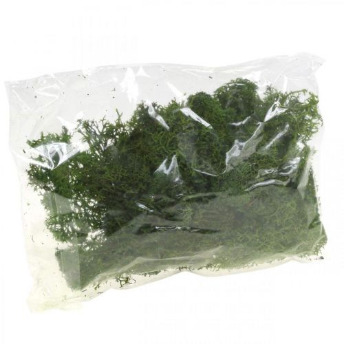 Floristik24 Musgo decorativo para manualidades Musgo natural verde oscuro preservado 40g