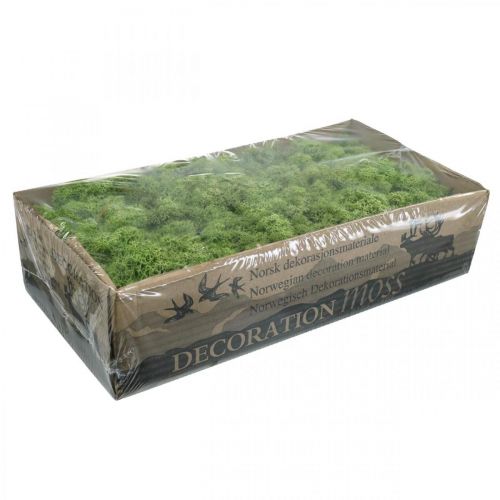Artículo Musgo Islandia verde musgo 400g