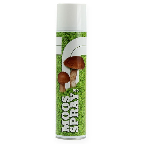 Floristik24 Spray Musgo 400ml
