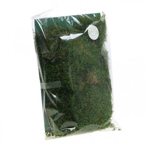 Floristik24 Musgo decorativo para manualidades verde, verde oscuro 100g