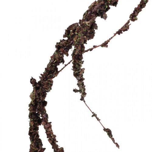 Floristik24 Musgo Guirnalda Marrón L180cm