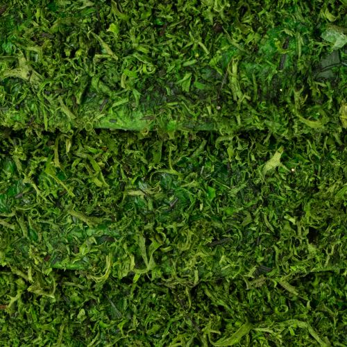 Artículo Corona de musgo decorativa para arreglos de temporada y diseño individual, 15 cm, 6 piezas