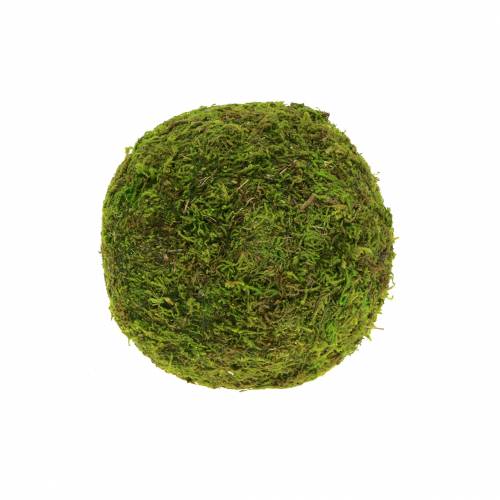 Bola de musgo Ø9cm 6pcs | Floristik24.es