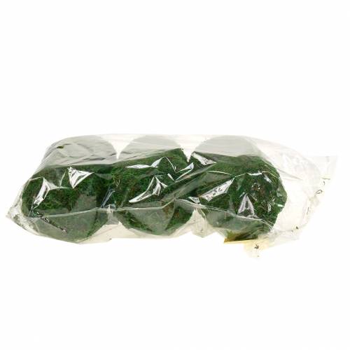 Bola de musgo Ø9cm 6pcs | Floristik24.es