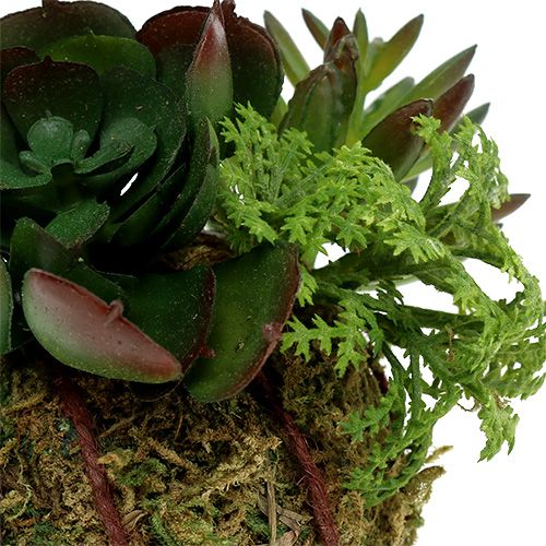 Floristik24 Kokedama Artificial Verde Ø7cm