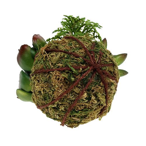 Floristik24 Kokedama Artificial Verde Ø7cm