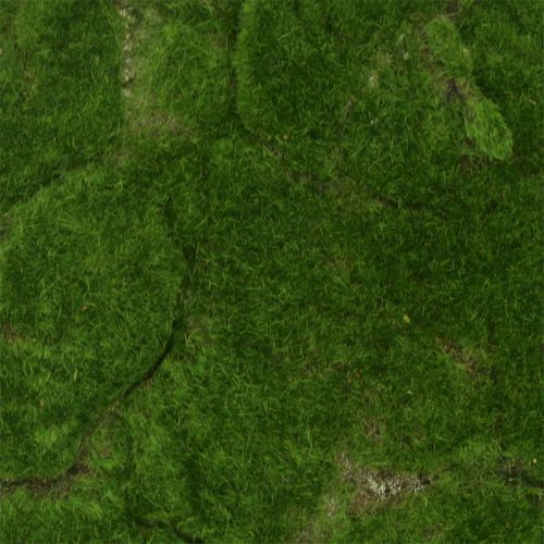 Floristik24 Musgo Mat Verde 35cm x 35cm
