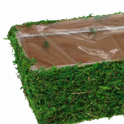 Floristik24 Maceta verde musgo 20×10cm H9cm