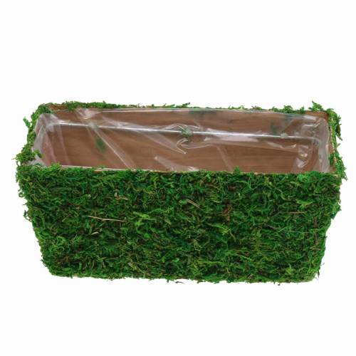 Floristik24 Maceta verde musgo 20×10cm H9cm