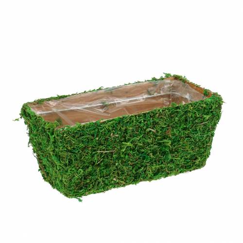 Floristik24 Maceta verde musgo 20×10cm H9cm