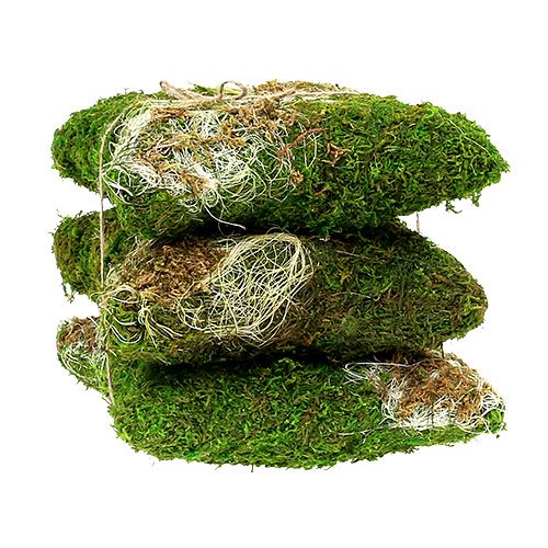 Floristik24 Cojín de musgo para plantar 20cm x 20cm 3pcs