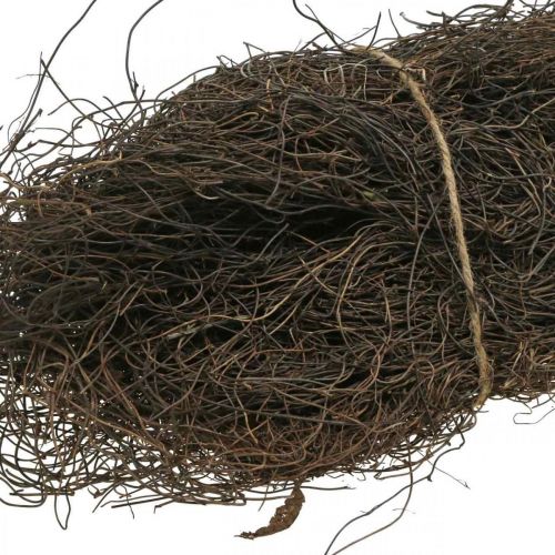 Artículo Mühlenbeckia vid material aproximadamente 1 kg naturaleza