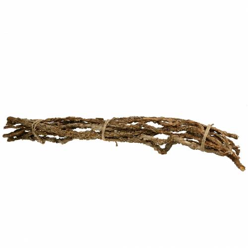 Floristik24 Ramas de alcornoque Ramas de Muruku 100cm 10 piezas