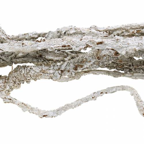 Floristik24 Ramas de alcornoque Ramas de Muruku blanco 100cm 10uds
