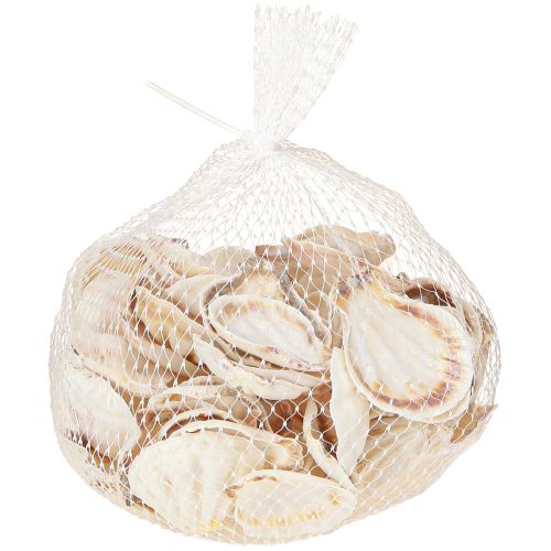 Artículo Vieiras de decoración de concha en natural 3,5cm–4cm 300g