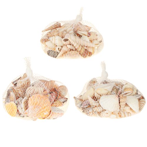 Artículo Decoración de concha de caracol marino natural 350 g × 3 piezas