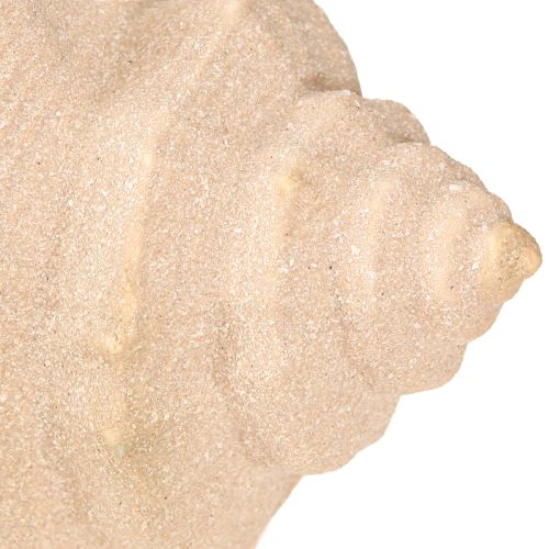 Artículo Caracol de mar Cerámica Azul y beige 16,5×11×9,5cm 2pzs