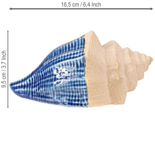 Artículo Caracol de mar Cerámica Azul y beige 16,5×11×9,5cm 2pzs