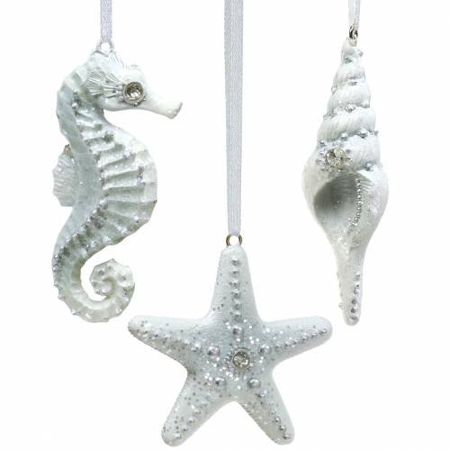 Floristik24 Concha/estrella de mar/caballito de mar para colgar 3 piezas