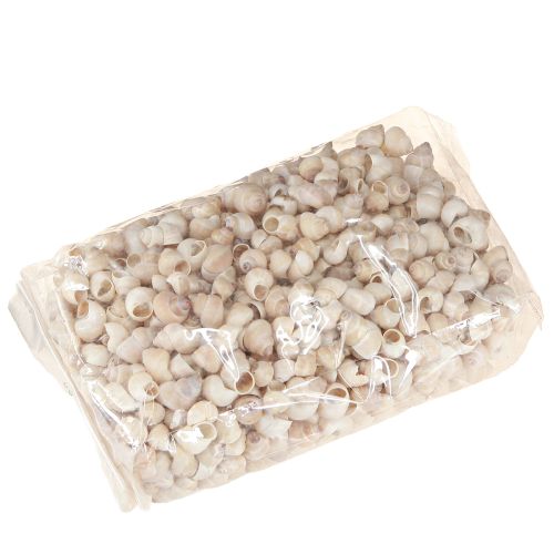 Floristik24 Mejillón Umachi 500g