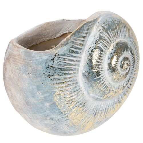 Contenedor decorativo en forma de caracol para diseño de pared marítimo y natural, gris, 21 cm