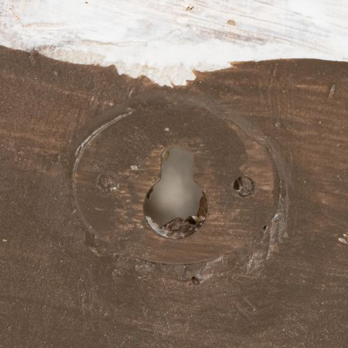 Artículo Contenedor decorativo en forma de caracol para diseño de pared marítimo y natural, gris, 21 cm