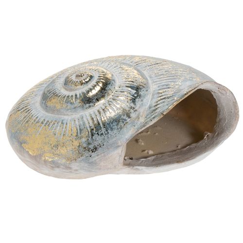 Artículo Contenedor decorativo en forma de caracol para diseño de pared marítimo y natural, gris, 21 cm