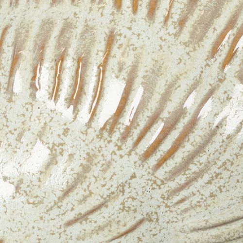 Artículo Cuenco de cerámica con diseño de conchas marinas para una elegante decoración en el salón, 23cm