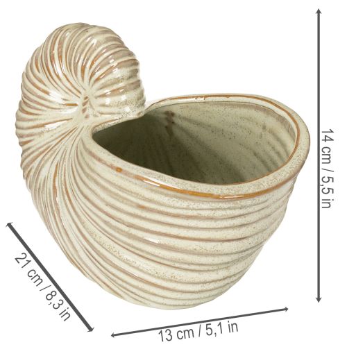 Artículo Maceta de cerámica con diseño de caracol para arreglos especiales de plantas, 21cm