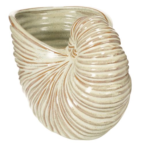 Artículo Maceta de cerámica con diseño de caracol para arreglos especiales de plantas, 21cm