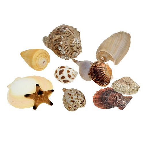Shell mezclar en una caja natural 380g