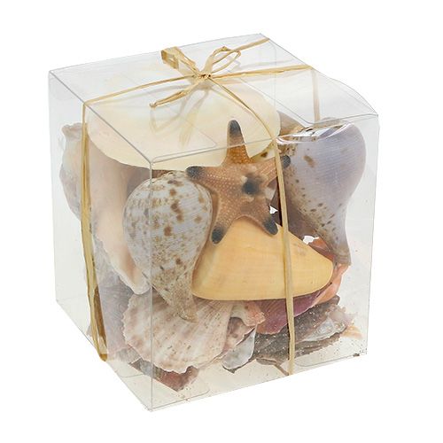 Floristik24 Shell mezclar en una caja natural 380g