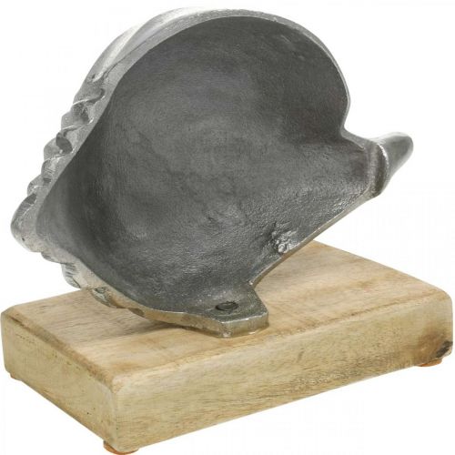 Artículo Concha de metal, decoración marinera para colocar plata, colores naturales H15cm W18.5cm